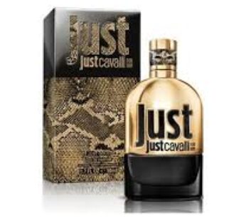 ROBERTO CAVALLI Just Cavalli Gold for Men