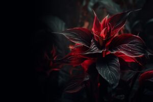 blog skin zinest 02 1200x800 1